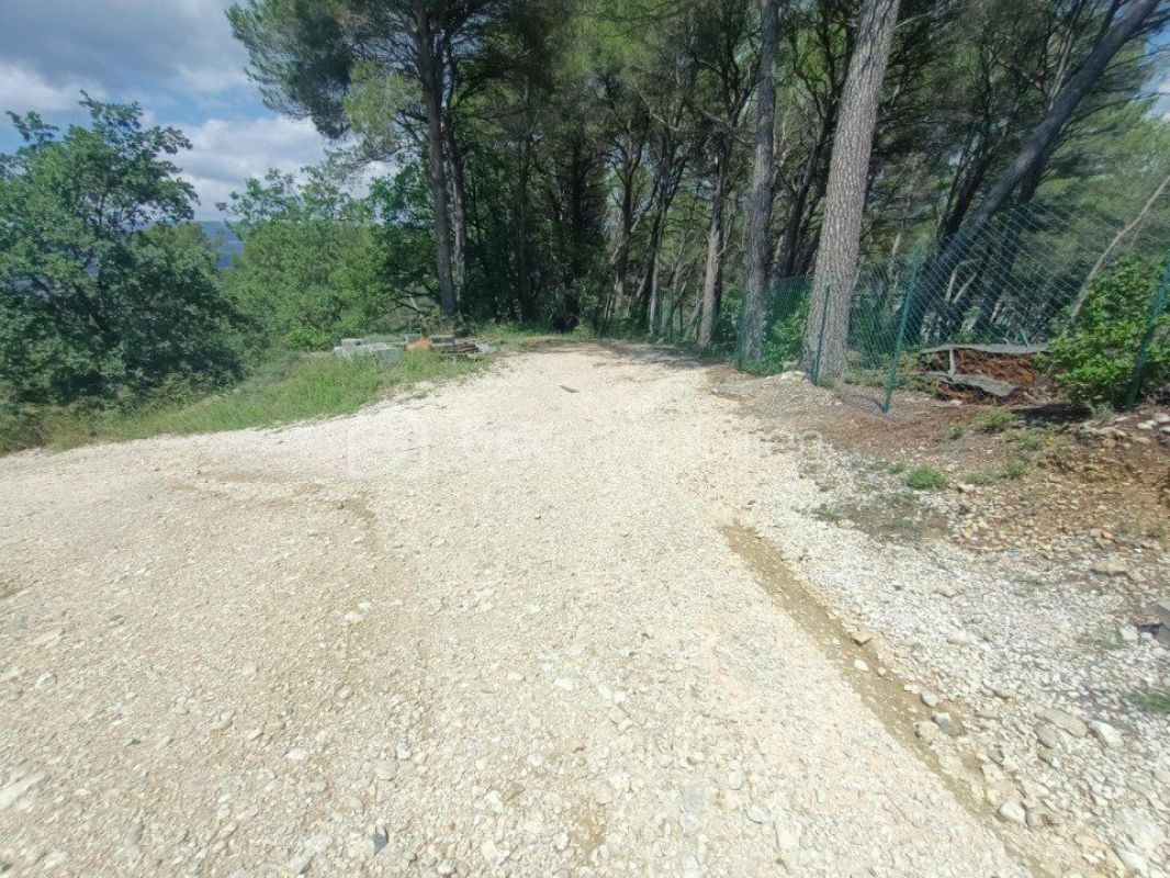 4.jpg-cote_littoral_464291