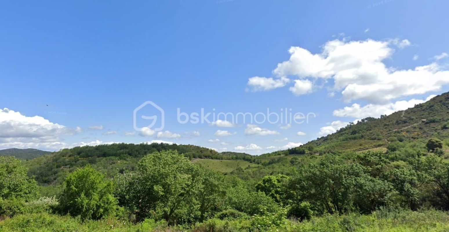 1.jpg-cote_littoral_464291