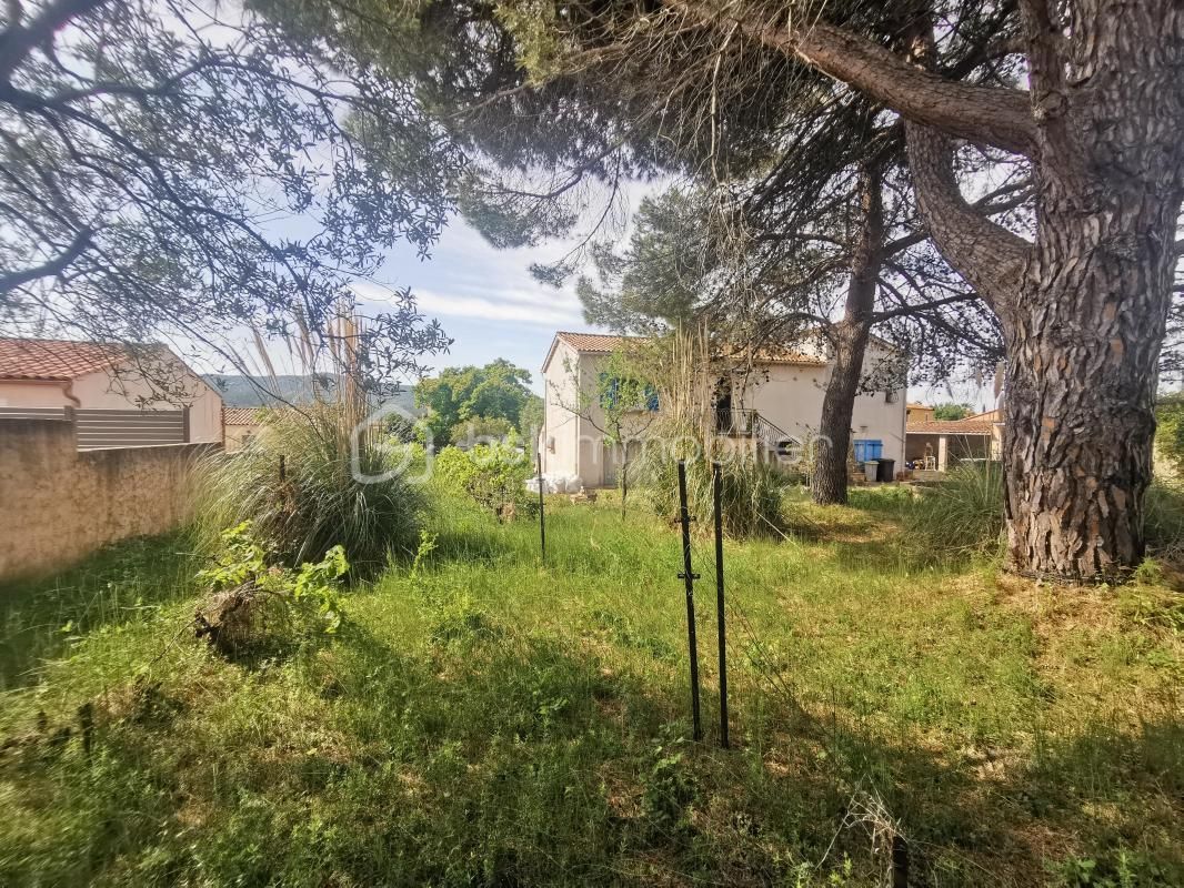 4.jpg-cote_littoral_464291