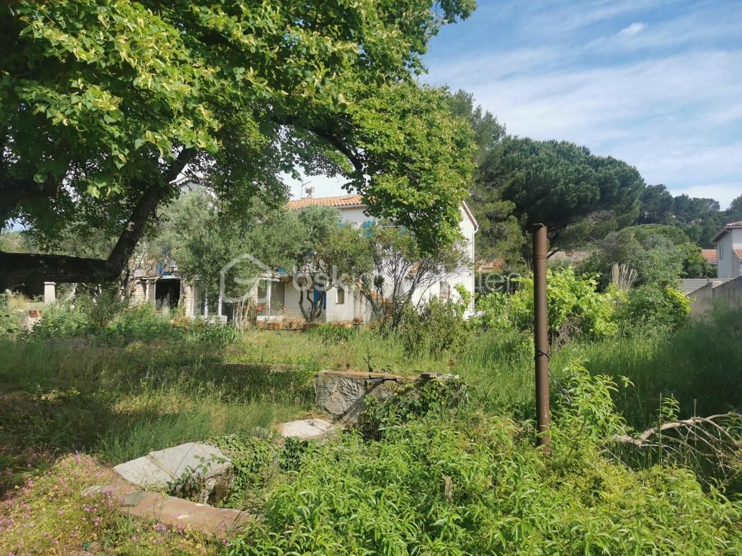 5.jpg-cote_littoral_464291