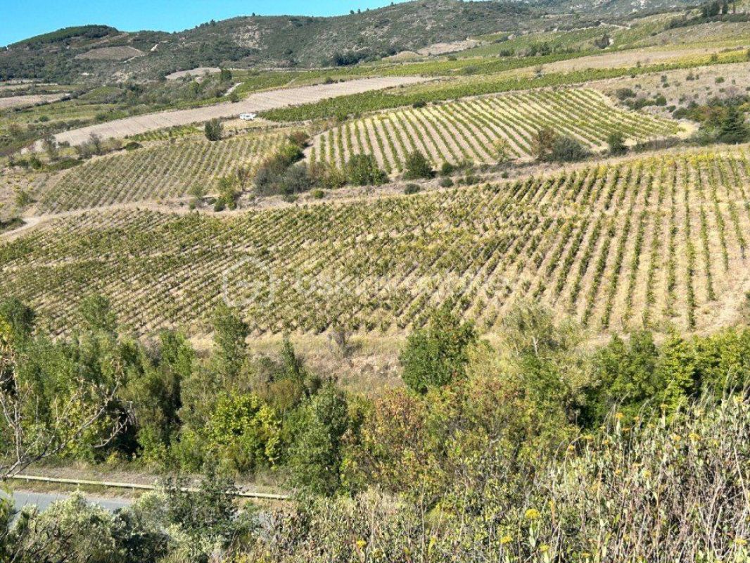 6.jpg-cote_littoral_464291