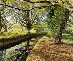 A vendre MAISON  DE MAîTRE BORD DE MER SAINT SULPICE DE ROYAN