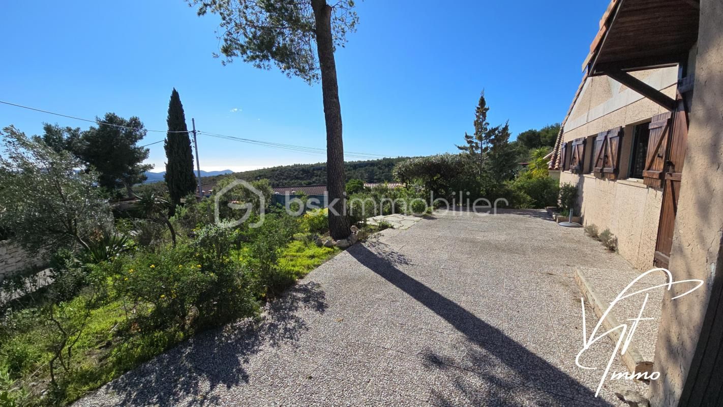 3.jpg-cote_littoral_464291