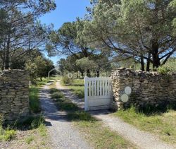 A vendre MAISON DE 190 m2-TERRAIN 15199 M2 Conques Sur Orbiel