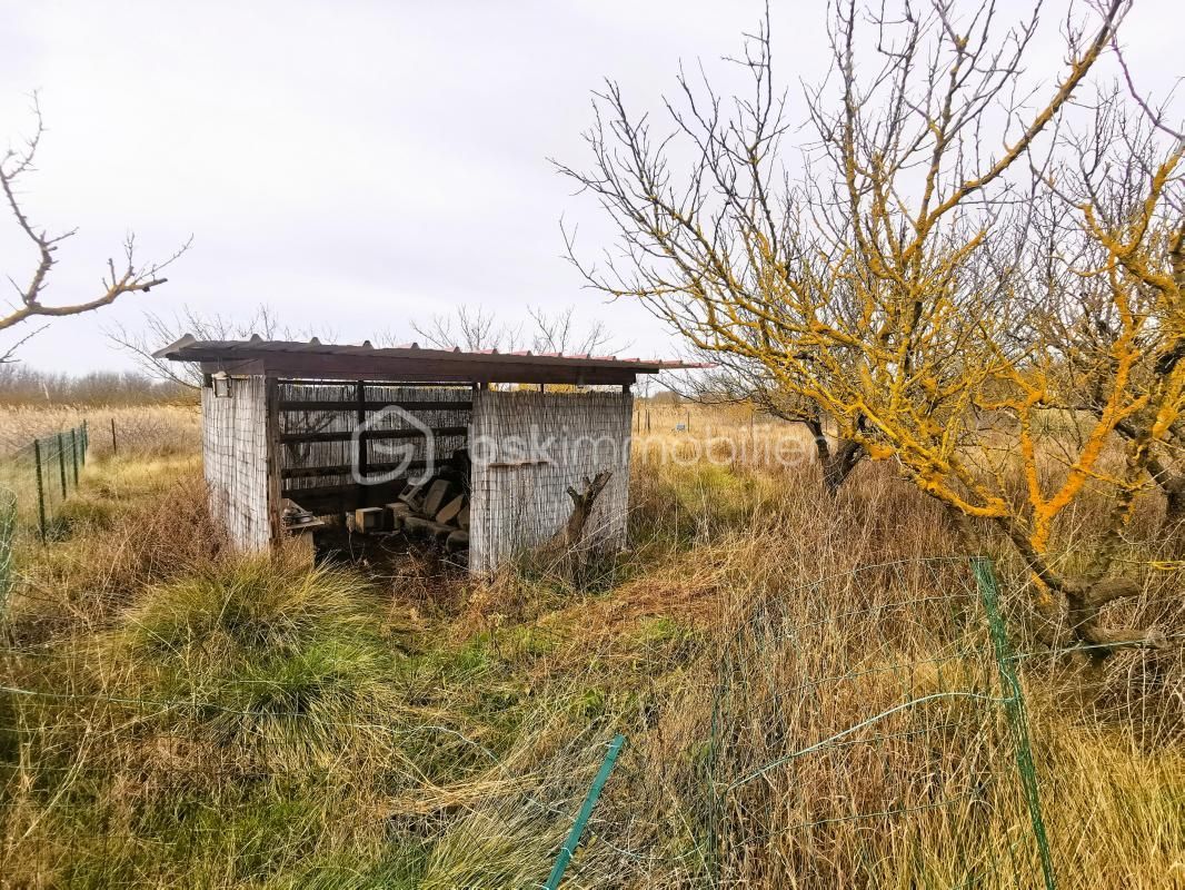 4.jpg-cote_littoral_464291