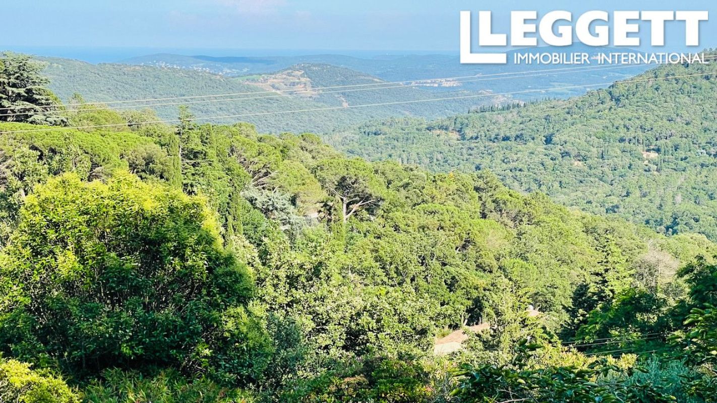 4.jpg-cote_littoral_464291