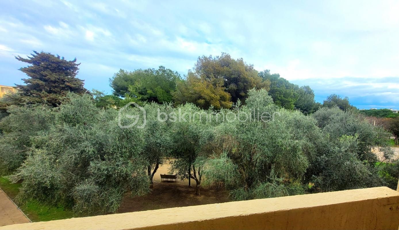 2.jpg-cote_littoral_464291