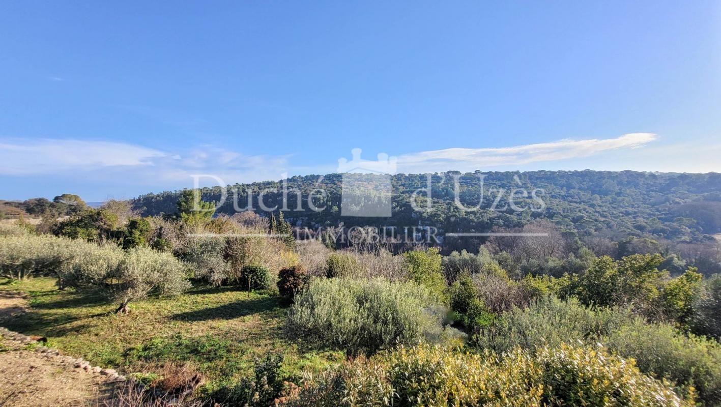 3.jpg-cote_littoral_464291