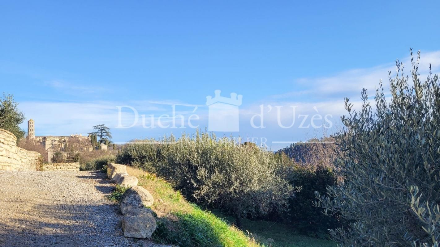 5.jpg-cote_littoral_464291
