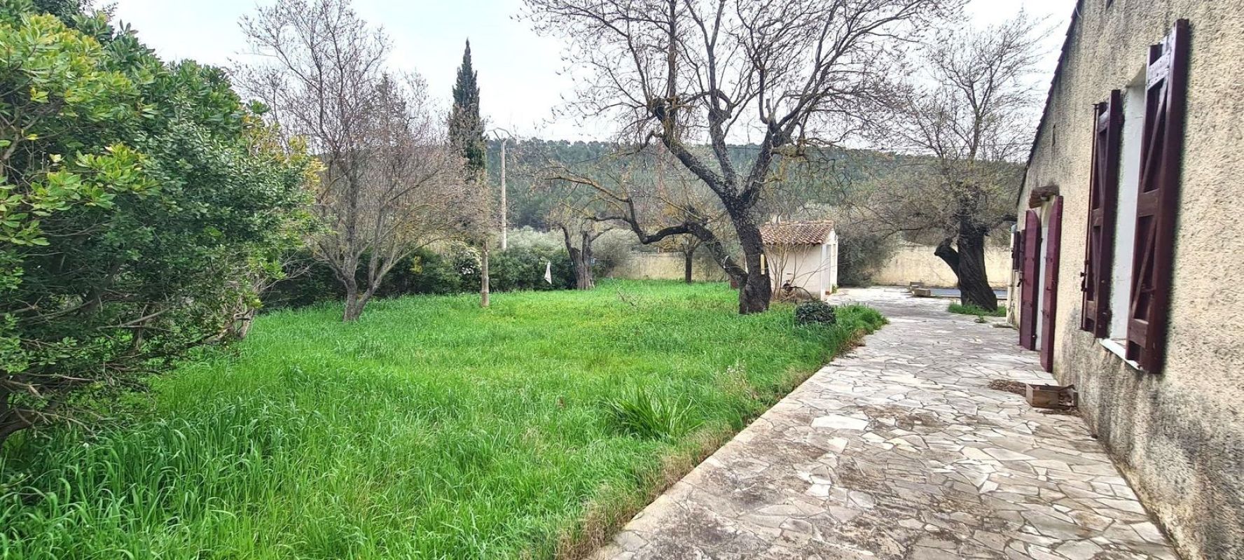 3.jpg-cote_littoral_464291