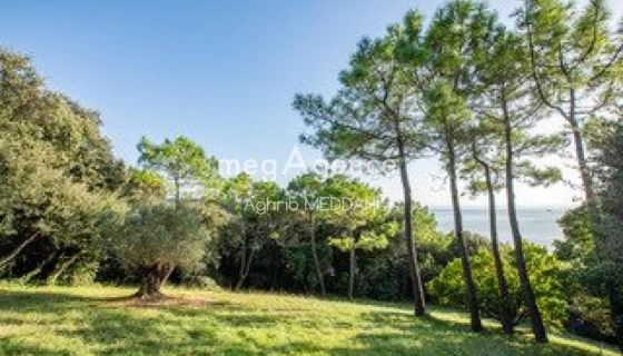 A louer MAISON  CONTEMPORAINE PLAGE à PIED SAINT GEORGES DE DIDONNE