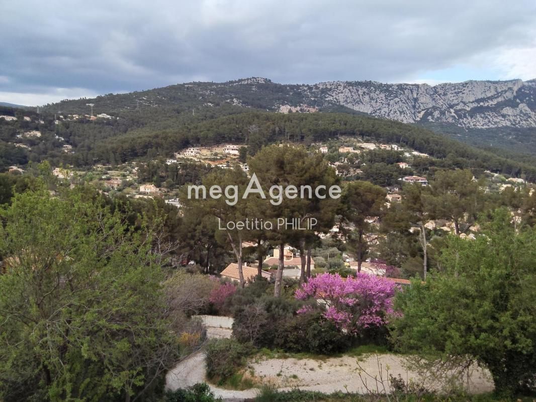 3.jpg-cote_littoral_464291