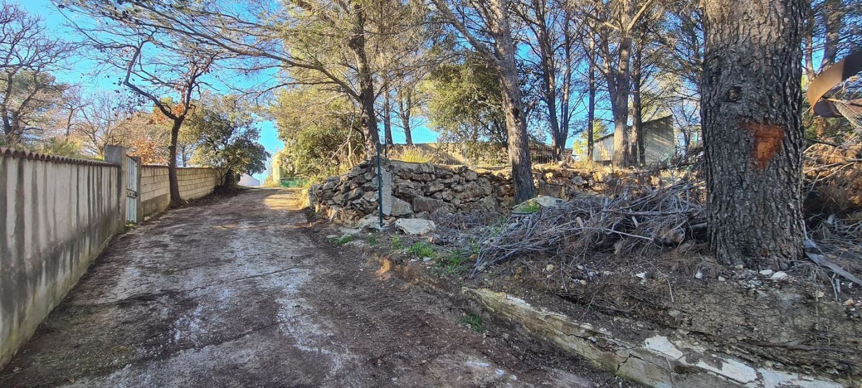 6.jpg-cote_littoral_464291