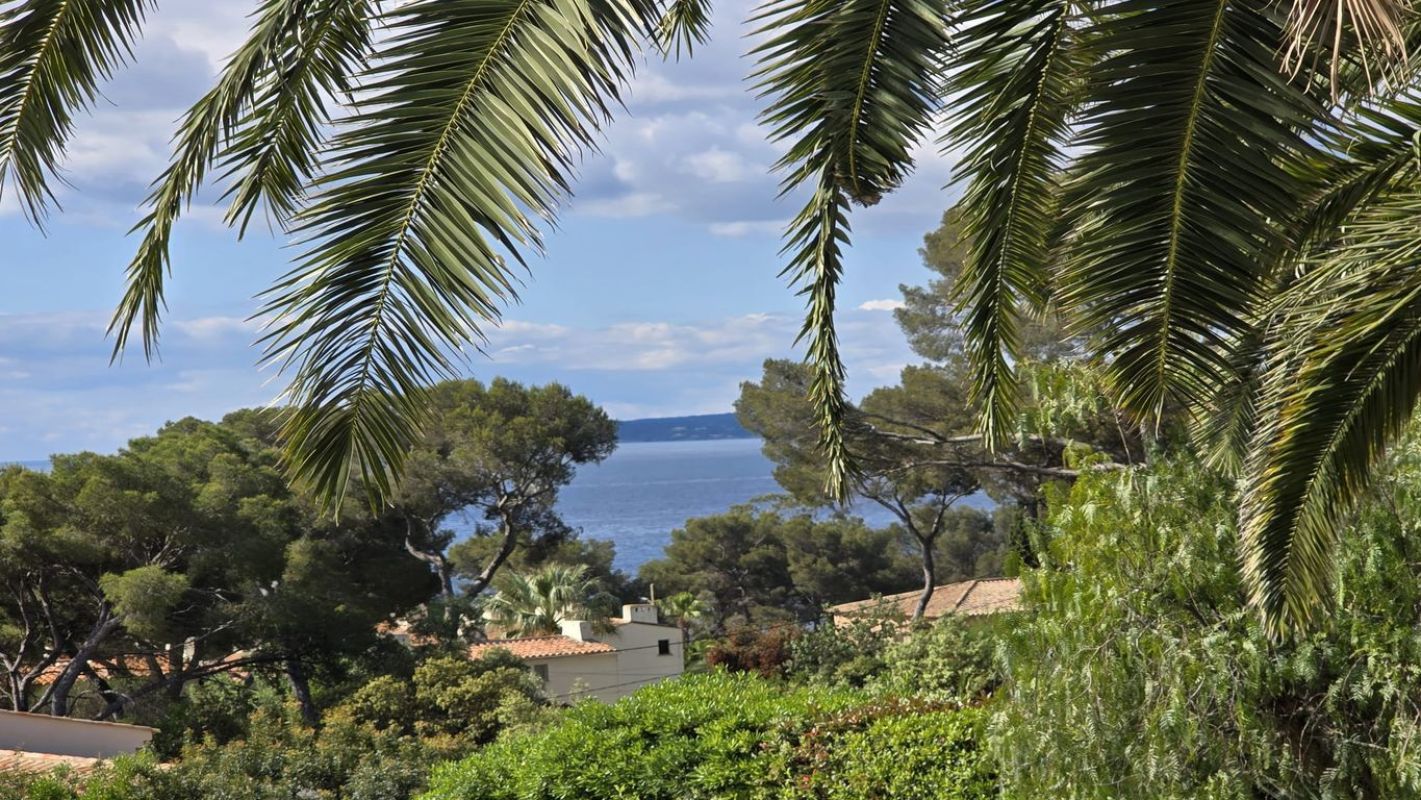 1.jpg-cote_littoral_464291