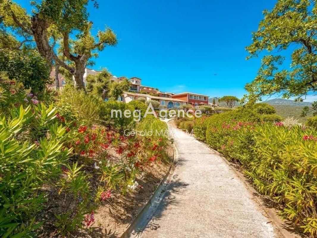 5.jpg-cote_littoral_464291