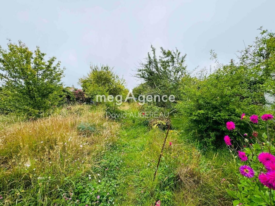 2.jpg-cote_littoral_464291