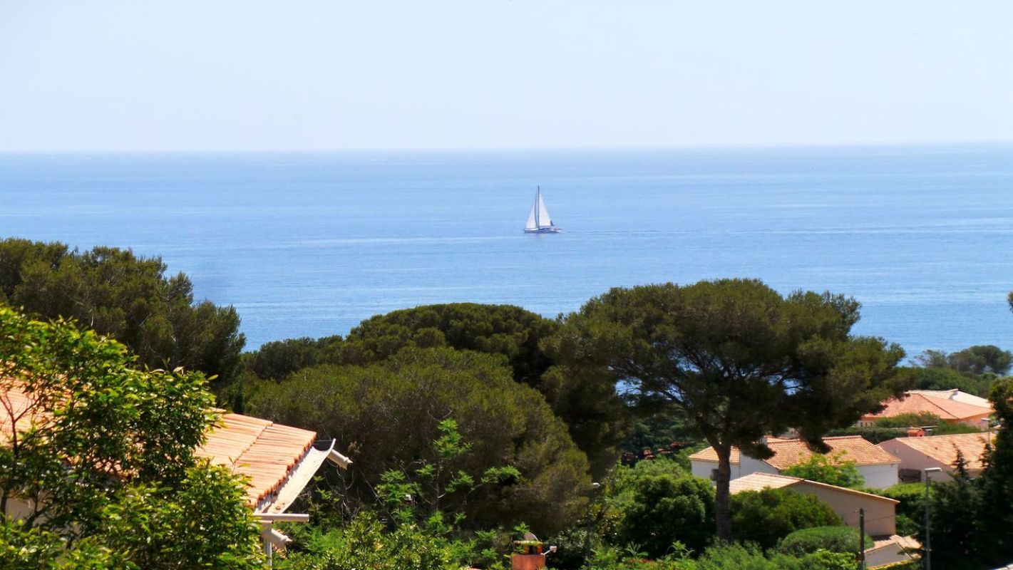 2.jpg-cote_littoral_464291