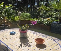 A louer APPARTEMENT T2 42 M2 TERRASSE BORD DE MER LES ISSAMBRES