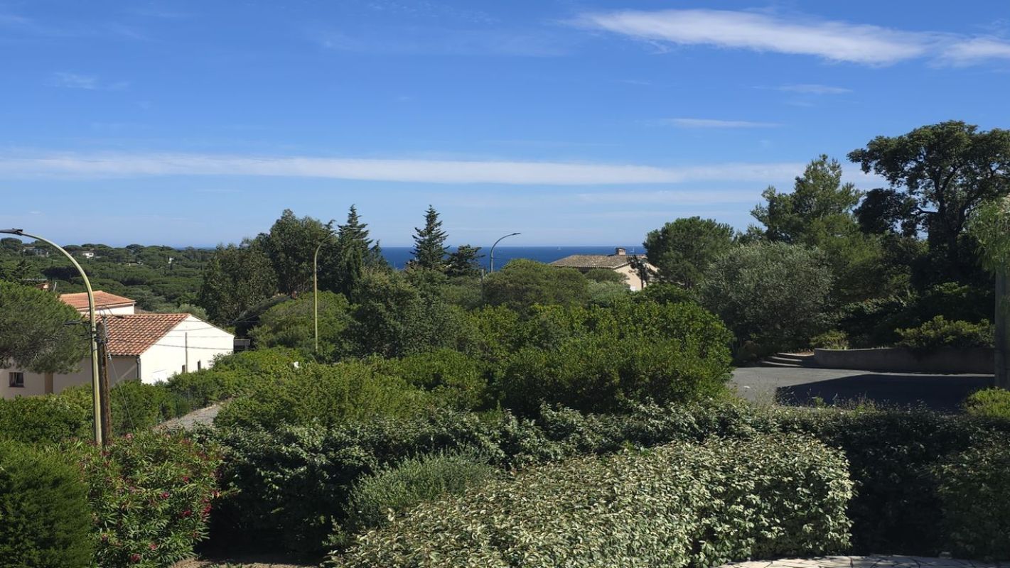 2.jpg-cote_littoral_464291