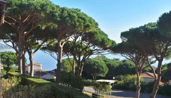 A louer APPARTEMENT T2 28 M2 TERRASSE VUE MER SAINTE MAXIME