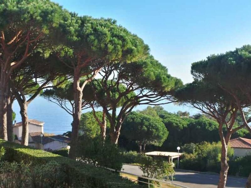 A louer APPARTEMENT T2 28 M2 TERRASSE VUE MER SAINTE MAXIME