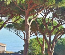 A louer APPARTEMENT T2 28 M2 TERRASSE VUE MER SAINTE MAXIME