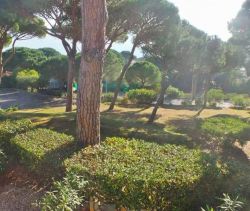 A louer APPARTEMENT T2 28 M2 TERRASSE VUE MER SAINTE MAXIME