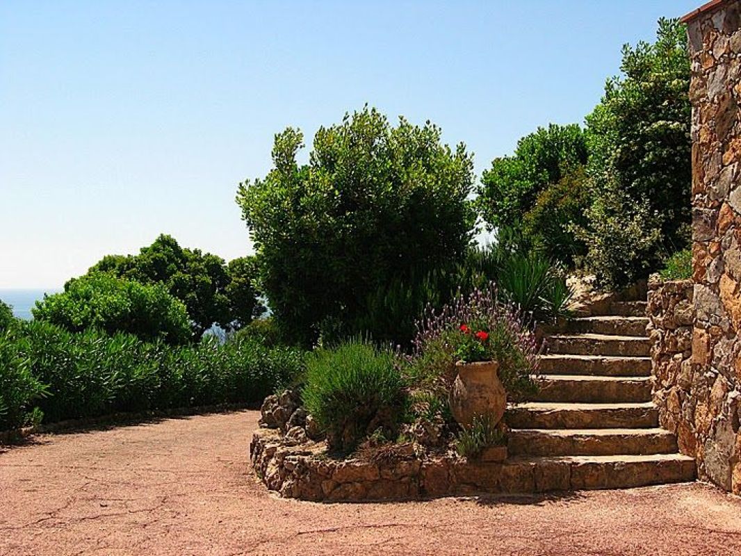 6.jpg-cote_littoral_464291