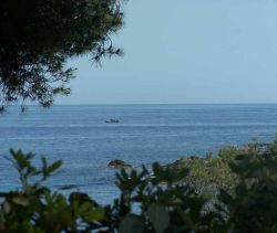 A louer MAISON  3 PIECES 67 M2 PIEDS DANS L'EAU LES ISSAMBRES