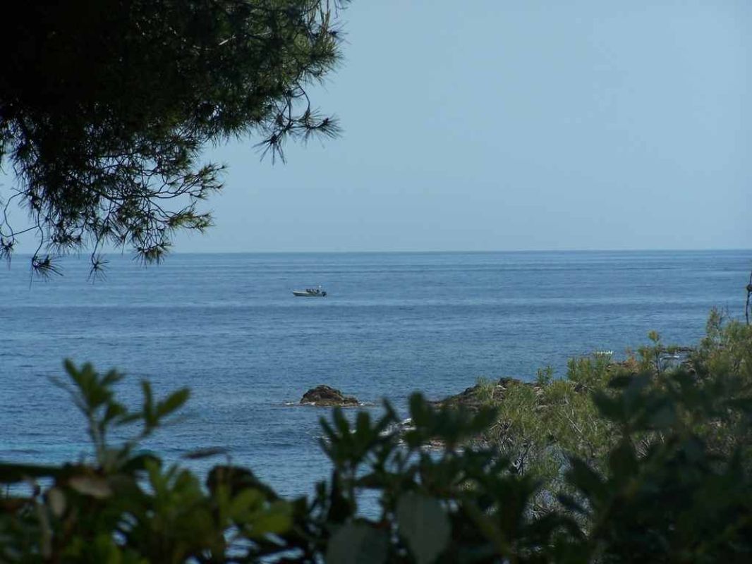 2.jpg-cote_littoral_464291