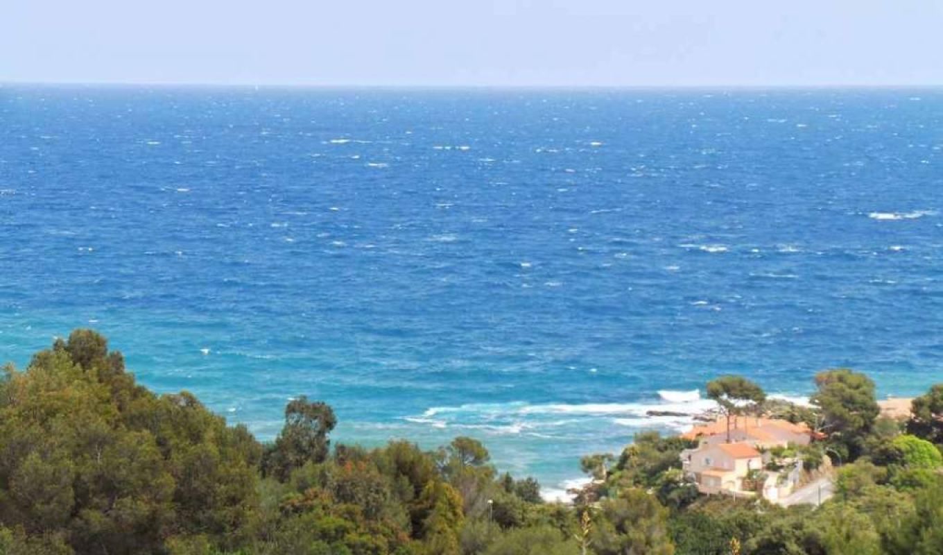 2.jpg-cote_littoral_464291