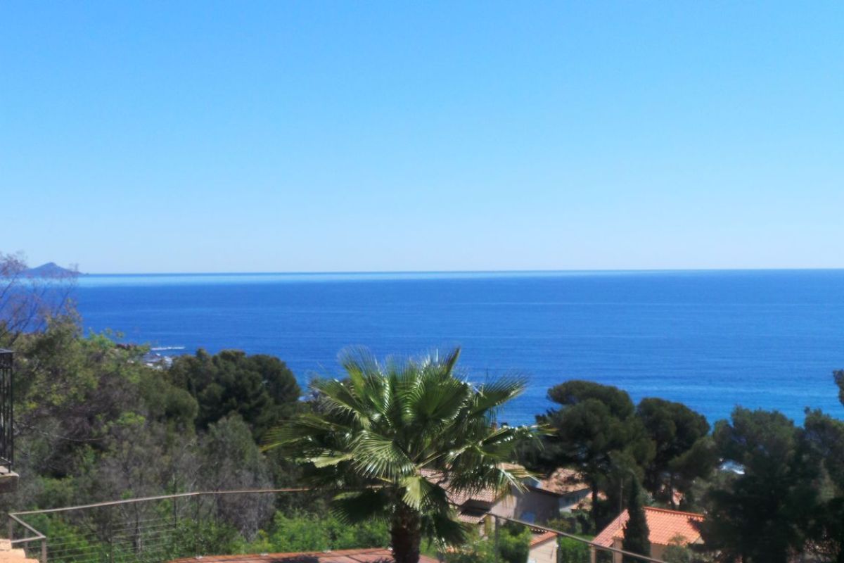 6.jpg-cote_littoral_464291