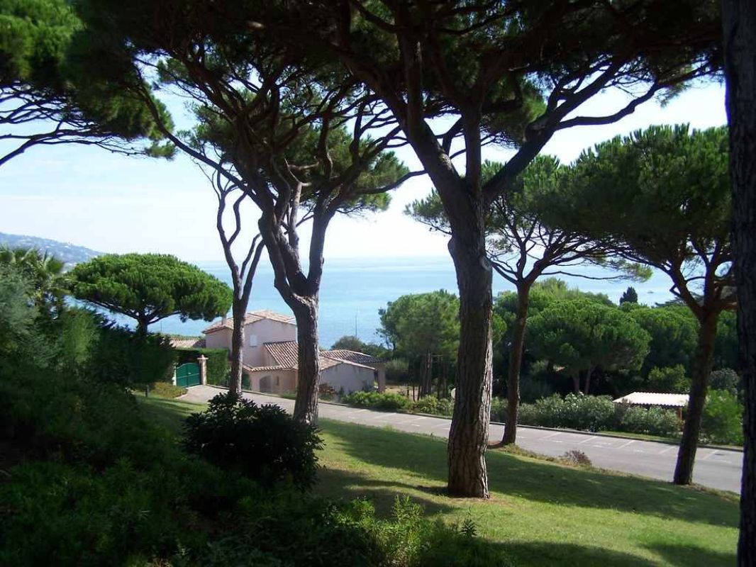 1.jpg-cote_littoral_464291