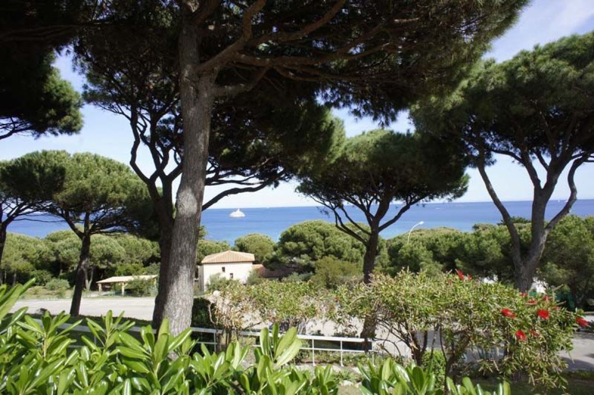 7.jpg-cote_littoral_464291