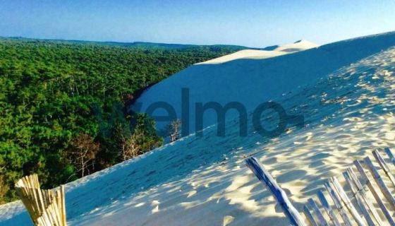 A vendre Maison - 5 piÃ¨ces - 121 mÂ² - La Teste-de-Buch 33260 33260 La Teste De Buch