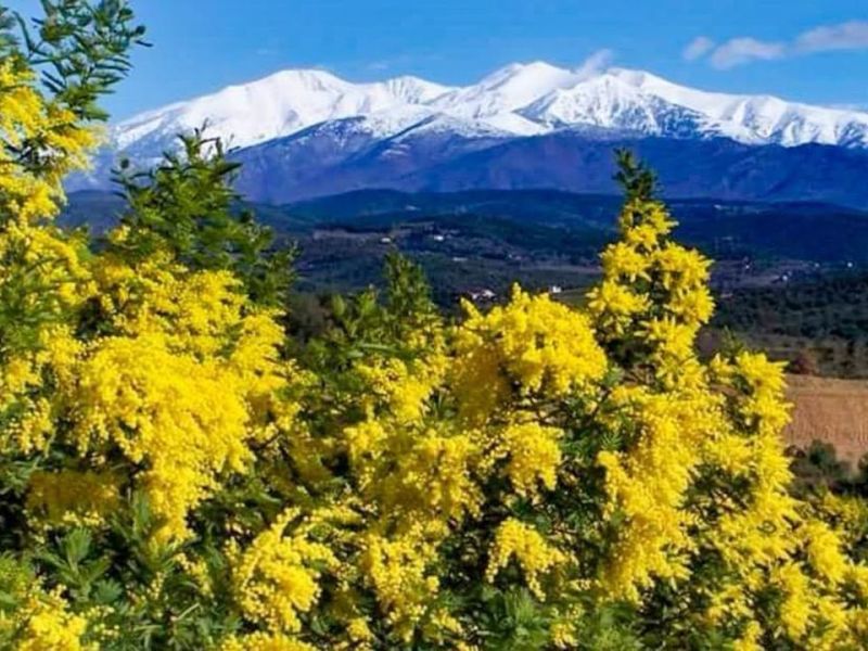 A louer MAISON  6 PIECES 200 M2 BORD DE MER SAINT CYPRIEN