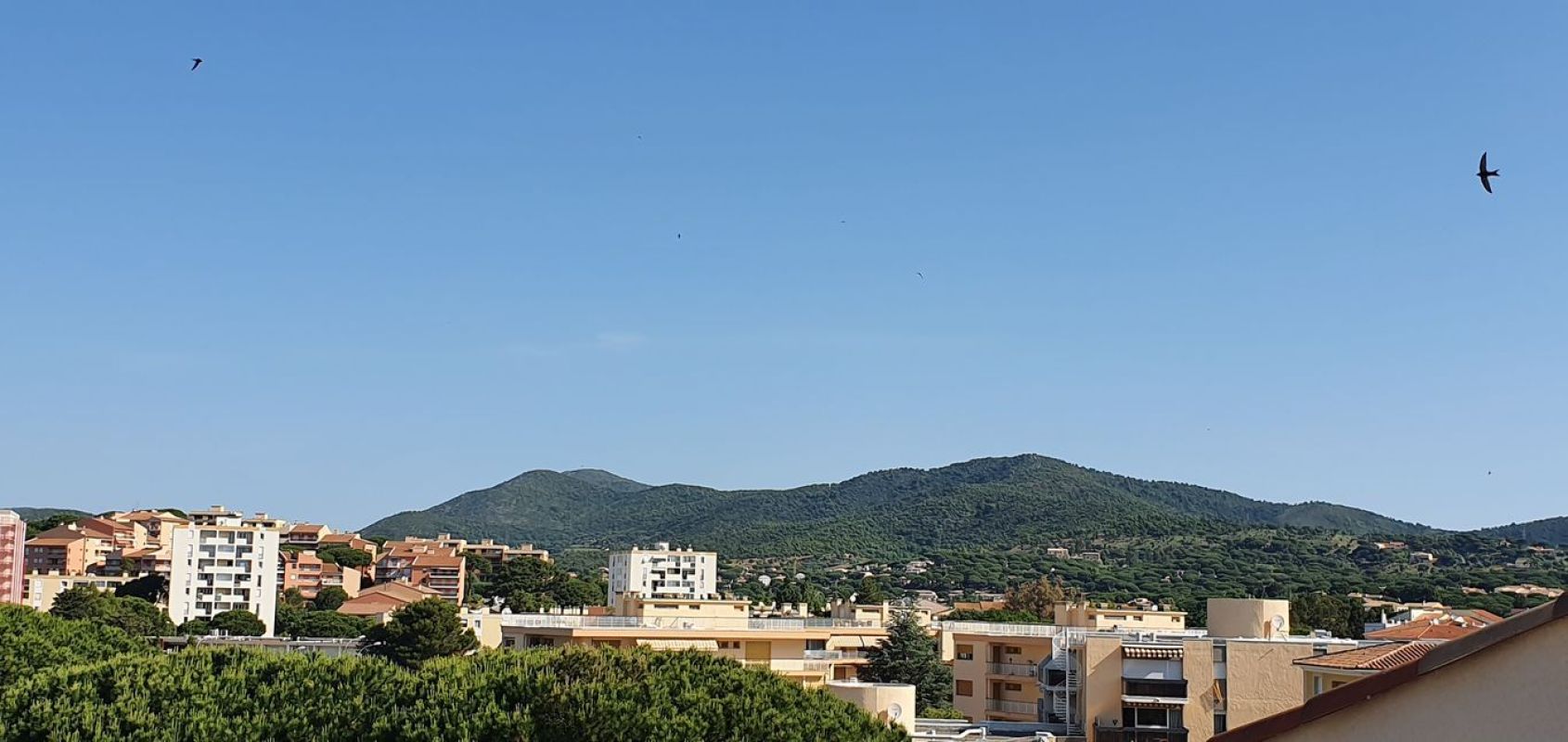4.jpg-cote_littoral_464291