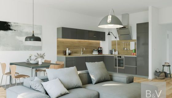 A vendre Appartement T2 48 m² vue mer PROCHE PLAGE VILLENEUVE LOUBET