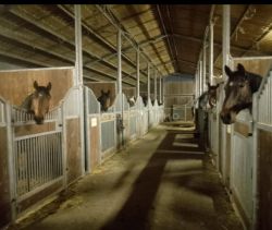 A vendre GîTE BORD DE MER BOUIN