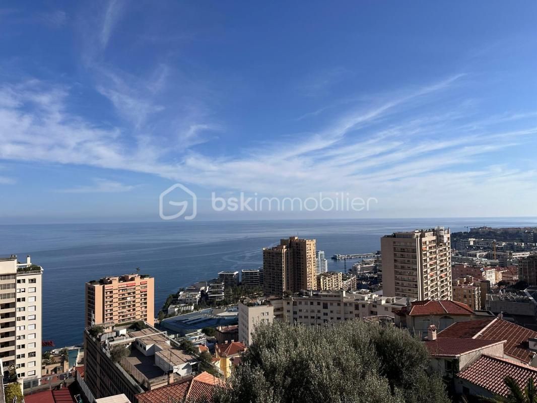 1.jpg-cote_littoral_464291