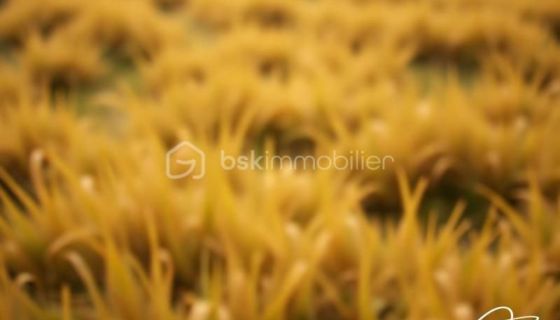 A vendre TERRAIN 360 M2 360 M2 BORD DE MER TOULON