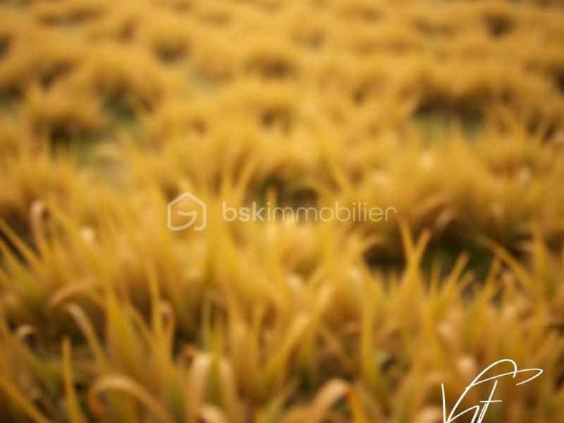 A vendre TERRAIN 360 M2 360 M2 BORD DE MER TOULON