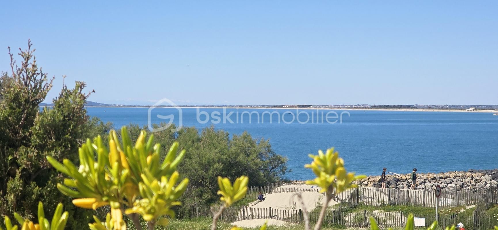 1.jpg-cote_littoral_464291