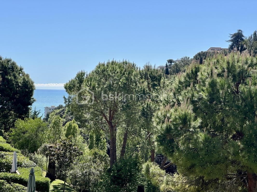 3.jpg-cote_littoral_464291