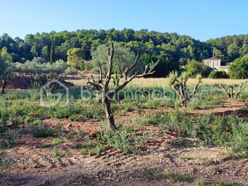 A louer MAISON  2 000 M2  CLERMONT L HERAULT