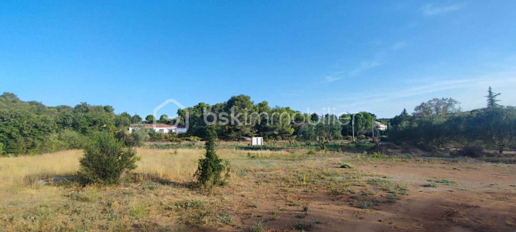 1.jpg-cote_littoral_464291