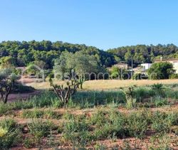 A louer MAISON  2 000 M2  CLERMONT L HERAULT