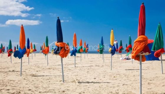 A louer APPARTEMENT T2 30 M2 PLAGE à PIED DEAUVILLE