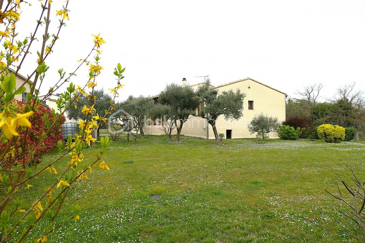 2.jpg-cote_littoral_464291