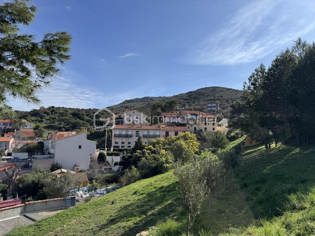 3.jpg-cote_littoral_464291